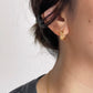 Eagle feather earrings