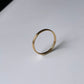 Double circle ring