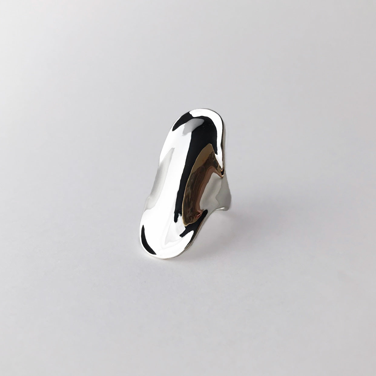 Shield ring