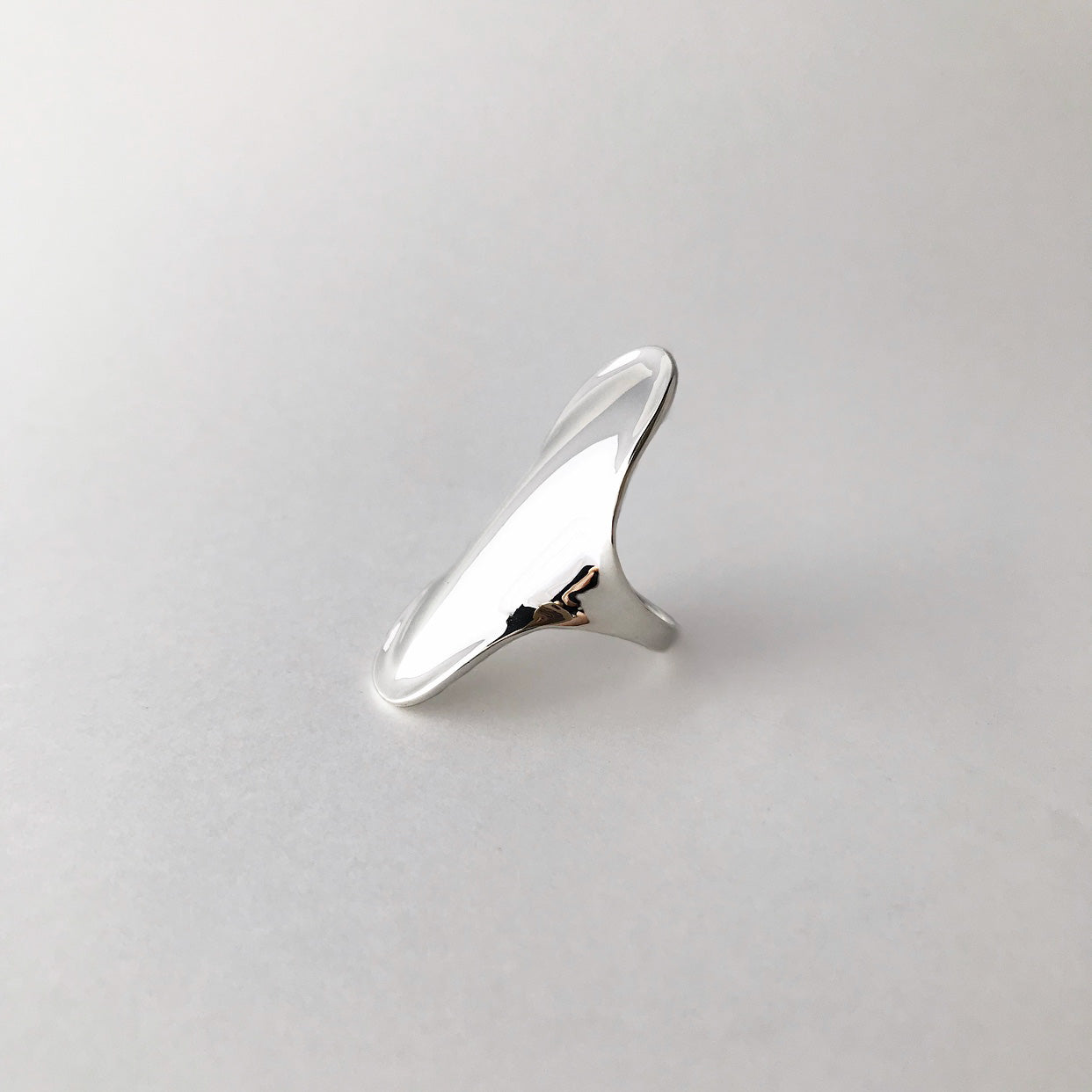 Shield ring