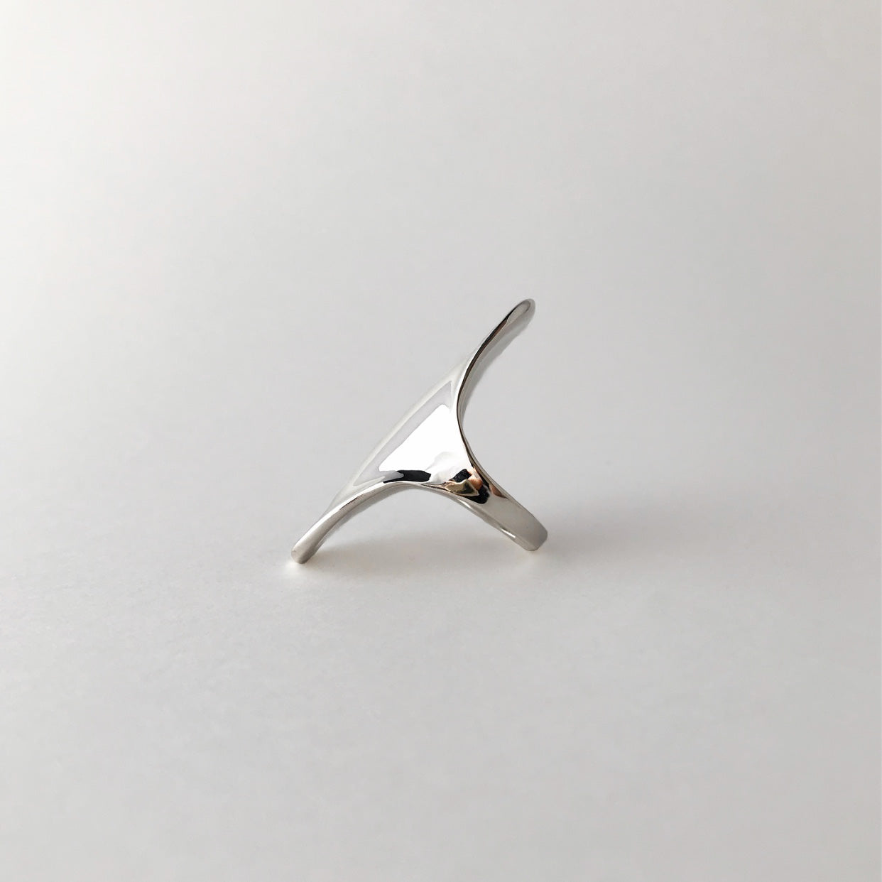 Shield ring