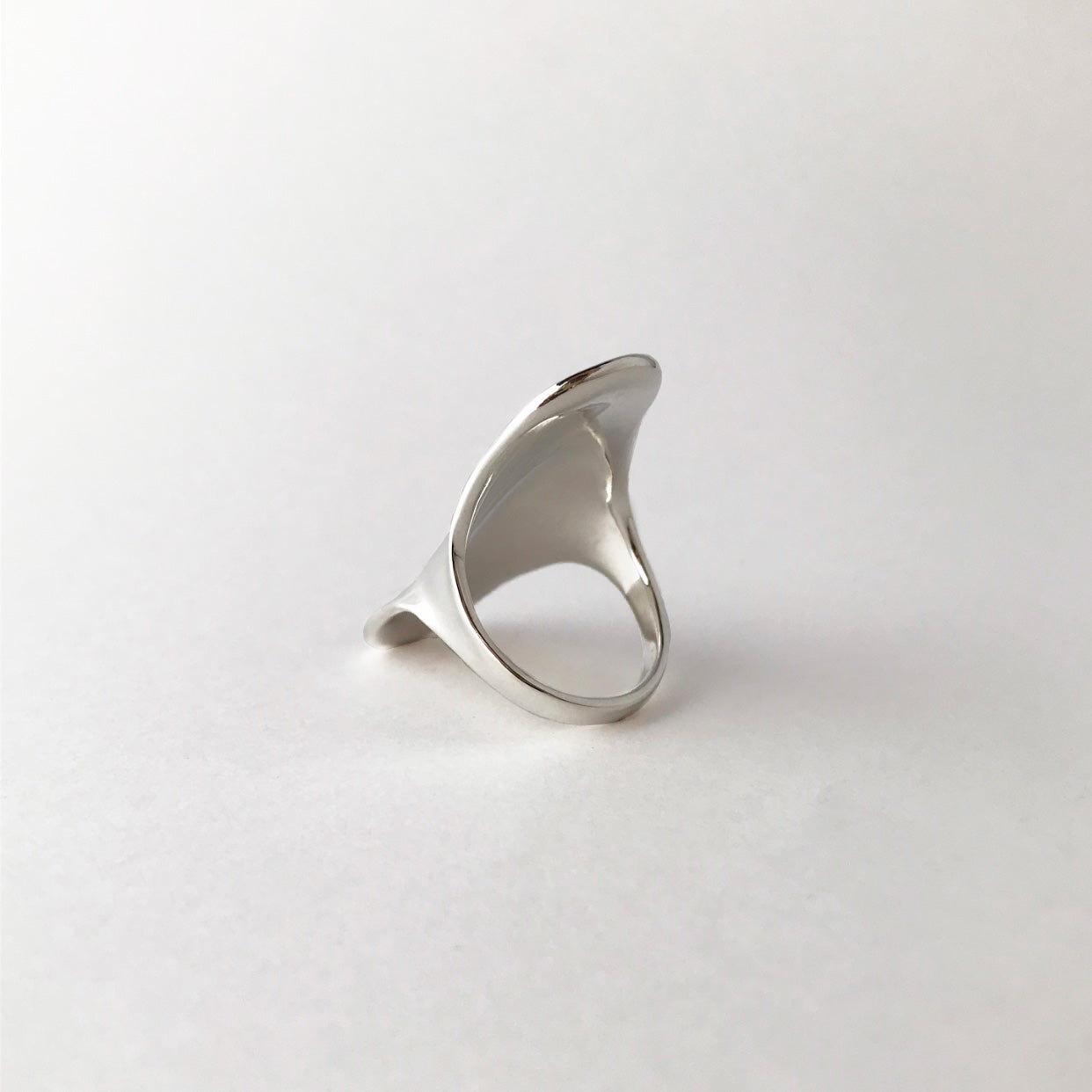 Shield ring