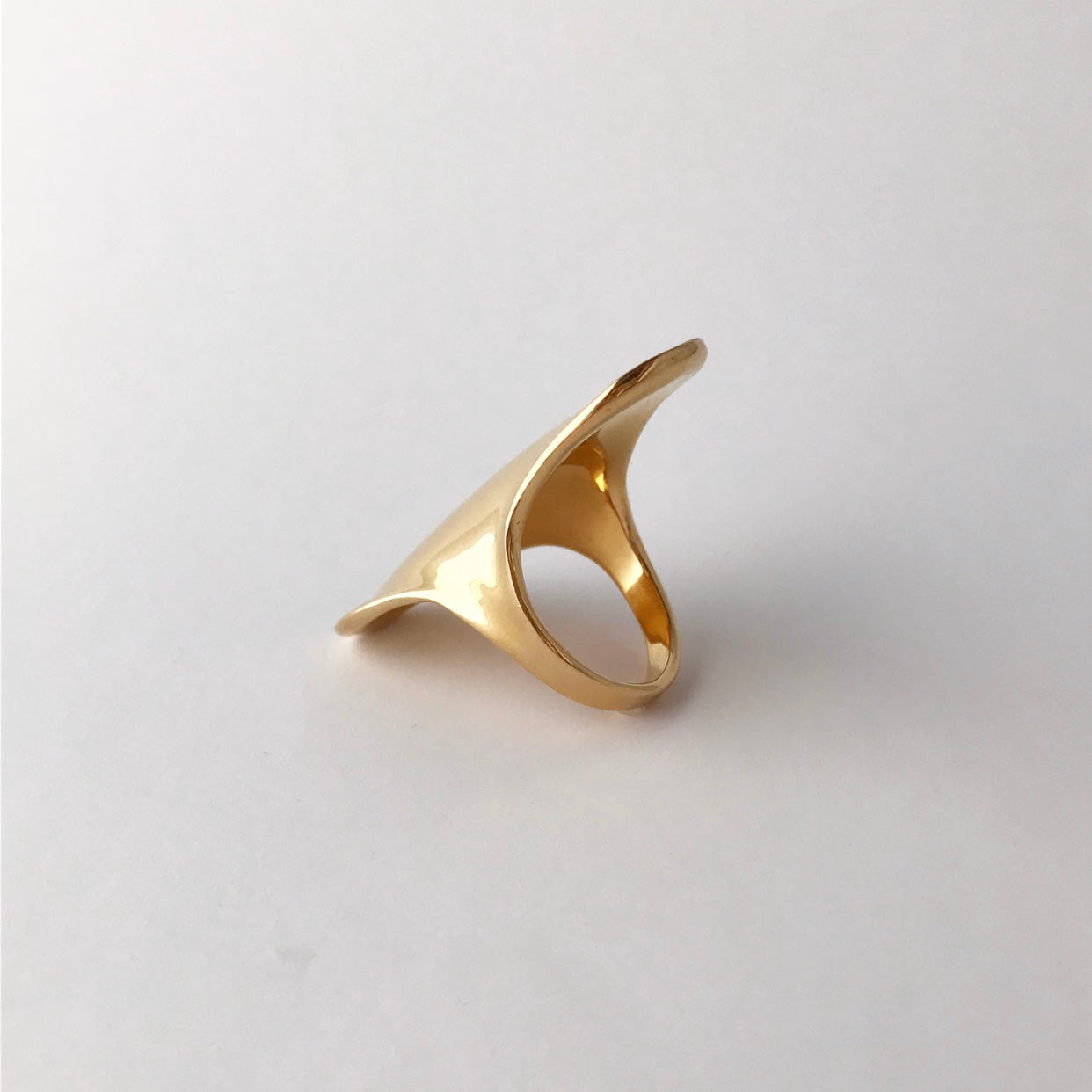 Shield ring