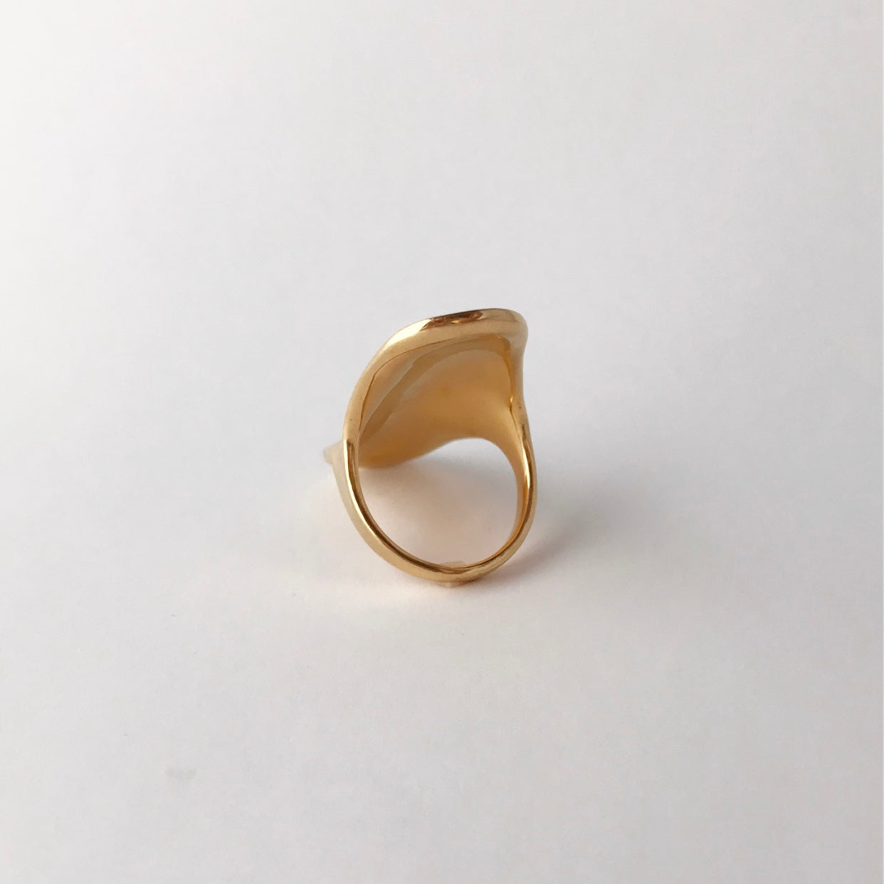 Shield ring