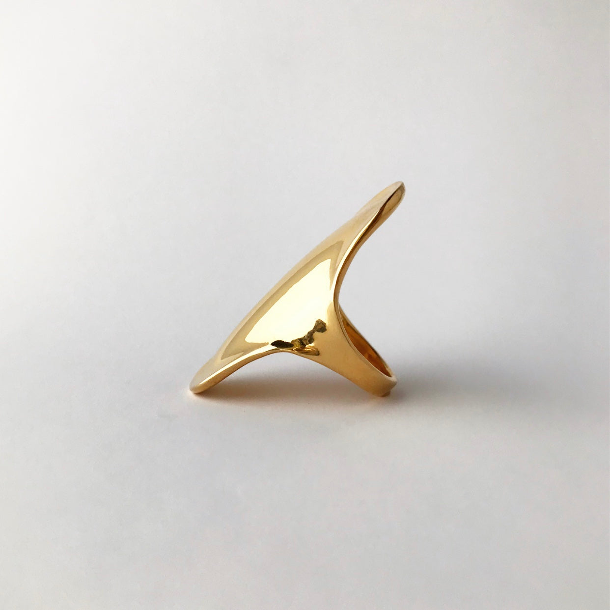 Shield ring