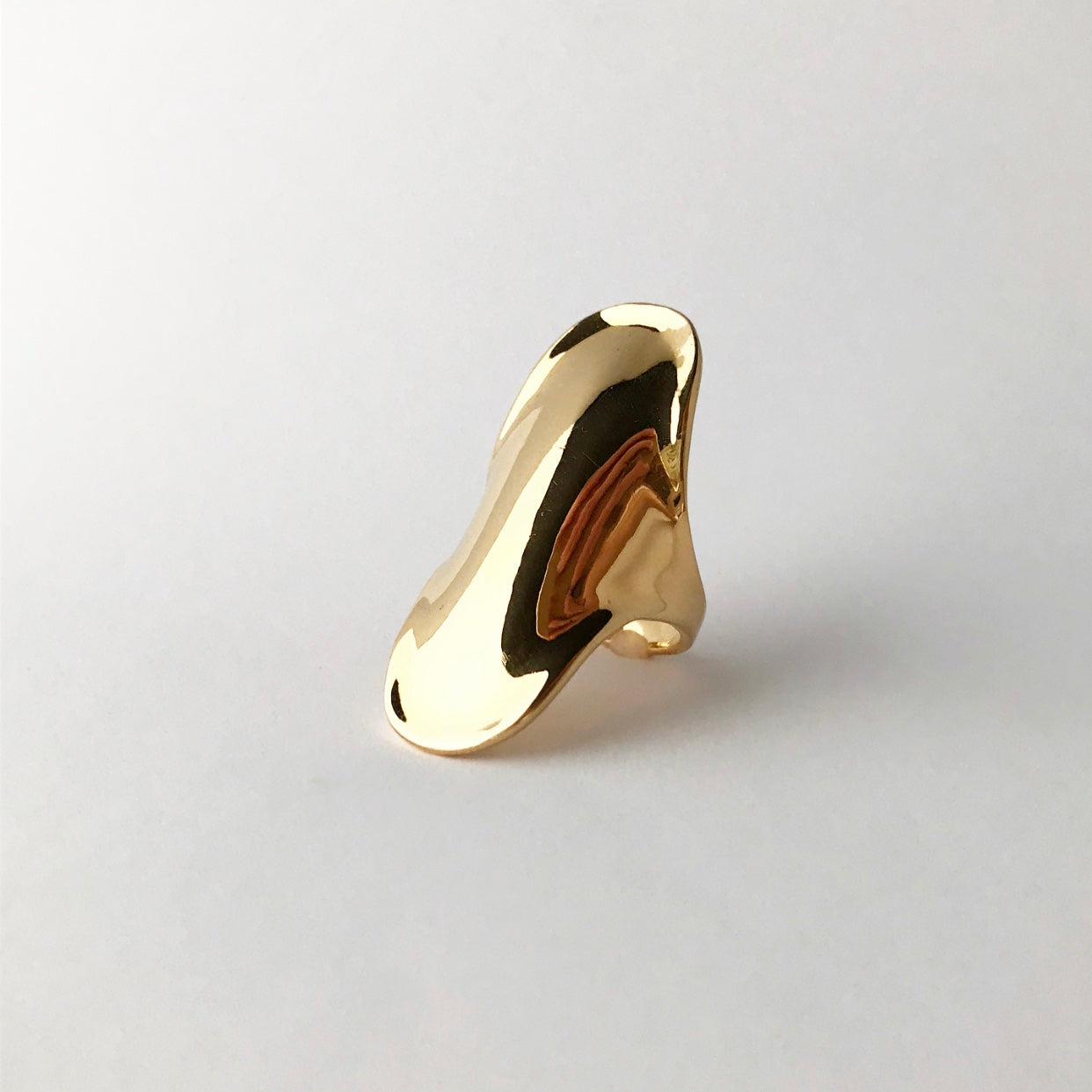 Shield ring