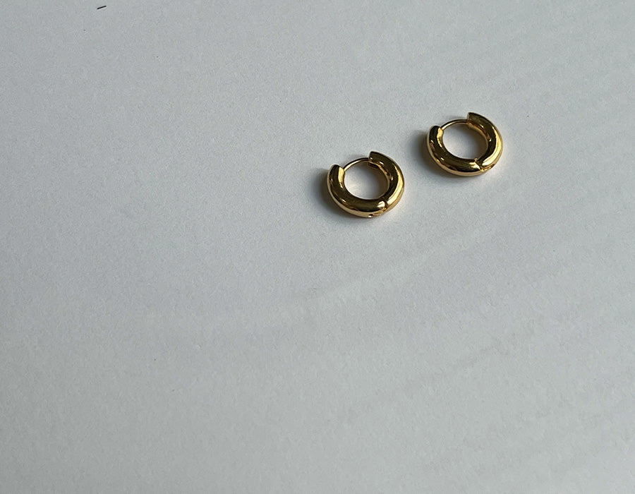 Hoop earrings [S]