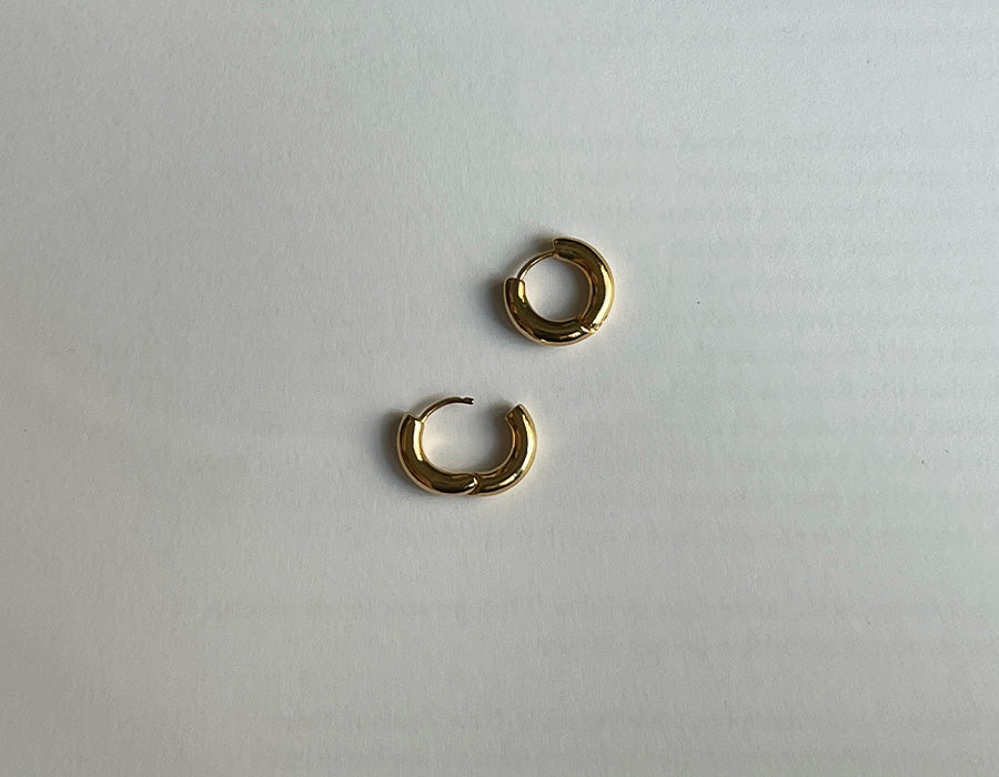 Hoop earrings [S]