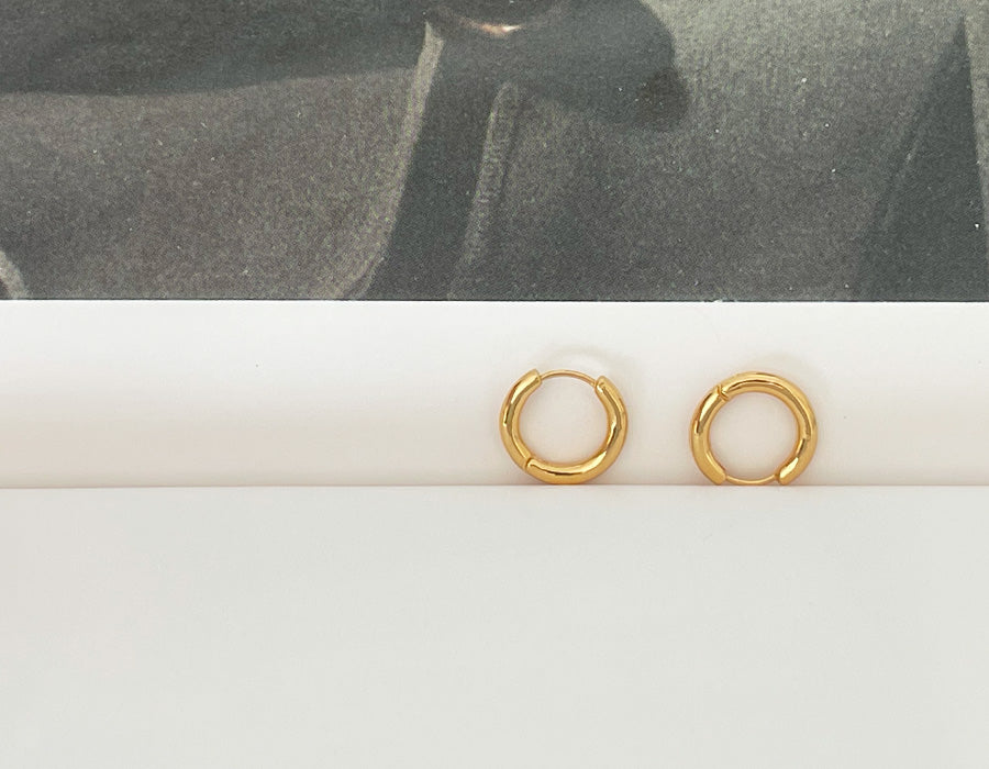 Hoop earrings [M]